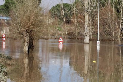 Fotos del río Cega a su paso por Viana. -PHOTOGENIC.