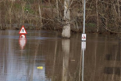 Fotos del río Cega a su paso por Viana. -PHOTOGENIC.