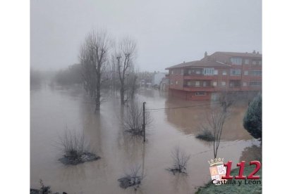 Fotos del río Cega a su paso por Viana. X: 112 CyL.