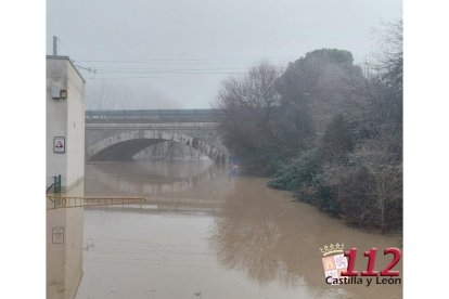 Fotos del río Cega a su paso por Viana. X: 112 CyL.