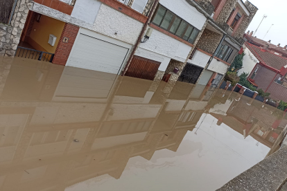 Fotos del río Cega a su paso por Viana. E.M.