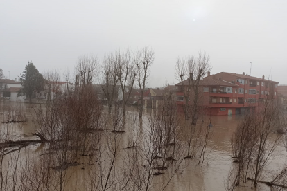 Fotos del río Cega a su paso por Viana. E.M.
