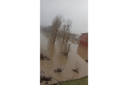 Fotos del río Cega a su paso por Viana. E.M.