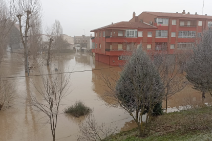 Fotos del río Cega a su paso por Viana. E.M.