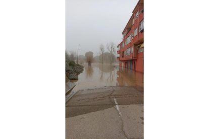 Fotos del río Cega a su paso por Viana. E.M.