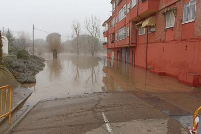 Fotos del río Cega a su paso por Viana. E.M.