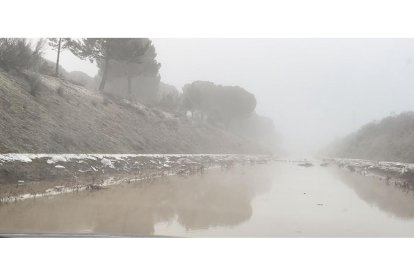 Fotos del río Adaja a su paso por Valdestillas. E.M.