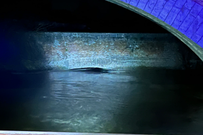 Fotos de las inundaciones en Valdestillas (Valladolid). -E.M.