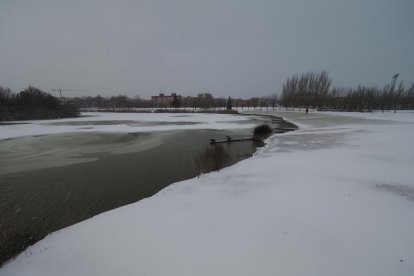 Temporal de nieve en Valladolid. MIGUEL ÁNGEL SANTOS/PHOTOGENIC