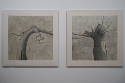Dos trabajos realizados a lápiz y aguada de grafito, en la Sala 0. | LOSTAU