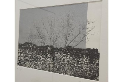 Detalle de 'Tapia con árbol'. | E. M.