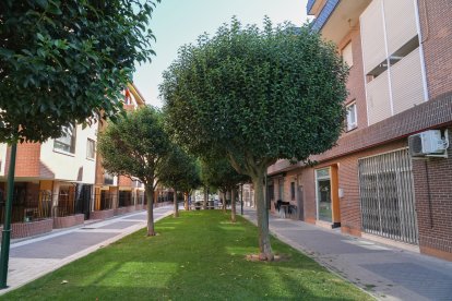 Calle de Ortega y Gasset en la actualidad .-J.M. LOSTAU