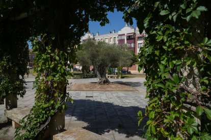 Calle Santiago Alba en la actualidad .-J.M.LOSTAU