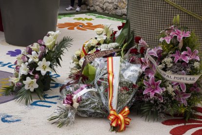 Ofrenda floral y procesión por San Pedro Regalado. PHOTOGENIC