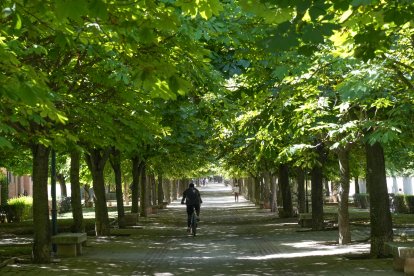 Paseo de los Castaños en la actualidad .-J.M. LOSTAU