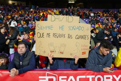 España-Georgia en Valladolid / ICAL