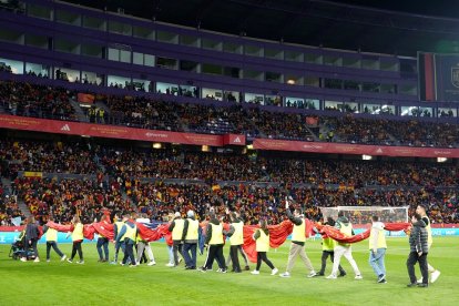 España-Georgia en Valladolid / ICAL
