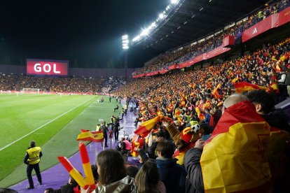 España-Georgia en Valladolid / ICAL