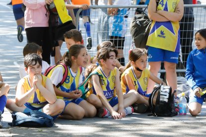 Día del Minibasket Pepe Moratinos. / J. M. LOSTAU