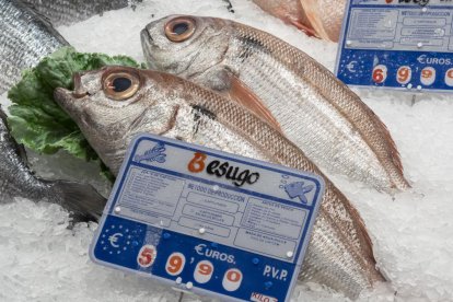 Precio del besugo en el Mercado del Val durante las compras de Navidad. -PHOTOGENIC