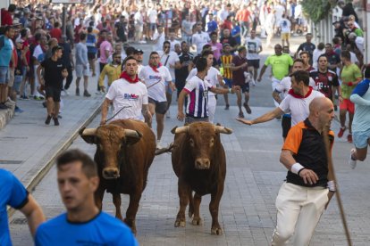 Encierros de Peñafiel.- PHOTOGENIC