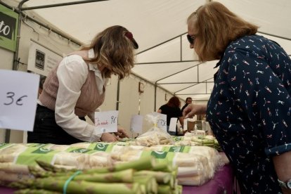 Feria del Espárrago celebrado en Tudela de Duero. PHOTOGENIC