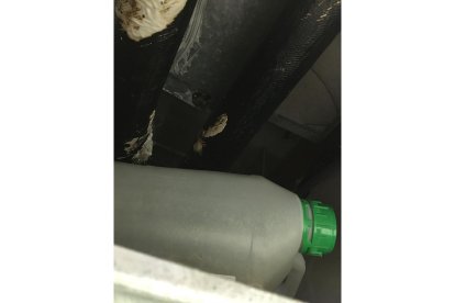 Estado del Centro de Especialidades de Arturo Eyries que denuncia Satse Valladolid. -SATSE