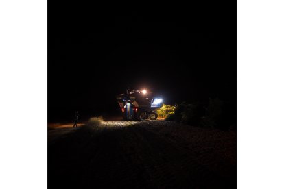 Inicio de la vendimia en Rueda.- DO RUEDA