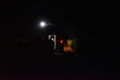 Inicio de la vendimia en Rueda.- DO RUEDA