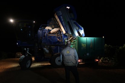 Inicio de la vendimia en Rueda.- DO RUEDA
