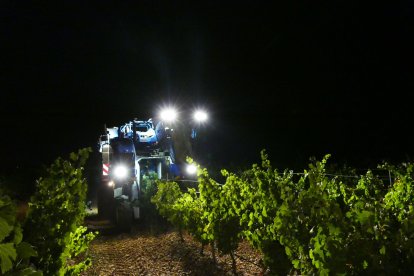 Inicio de la vendimia en Rueda.- DO RUEDA