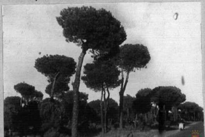 Pinar de Antequera en los años 70.- ARCHIVO MUNICIPAL VALLADOLID