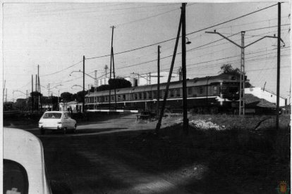 Tren a su paso por el Pinar de Antequera en los años 70.- ARCHIVO MUNICIPAL VALLADOLID