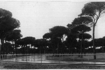 Pista de patinaje del Pinar de Antequera en los años 70.- ARCHIVO MUNICIPAL VALLADOLID
