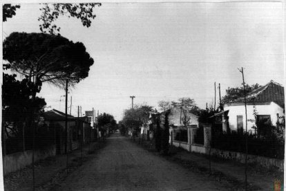 Una de las calles de la urbanización del Pinar de Antequera en los años 70.- ARCHIVO MUNICIPAL VALLADOLID