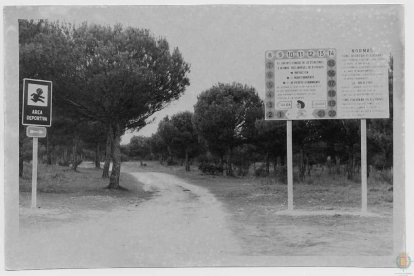 Entrada al circuito deportivo del Pinar de Antequera en 1980.- ARCHIVO MUNICIPAL VALLADOLID