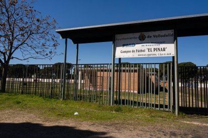 Campos de fútbol 