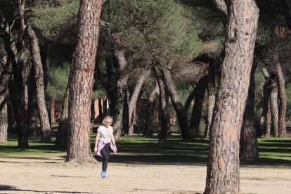 El Pinar de Antequera.- PHOTOGENIC