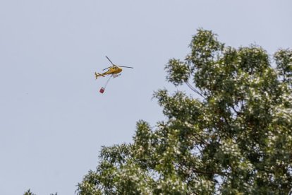 Efectivos de los bomberos de Segovia, de la Junta de Castilla y León y Protección Civil trabajan en la extinción del incendio en la Nacional-110.- ICAL
