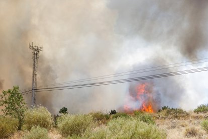 Efectivos de los bomberos de Segovia, de la Junta de Castilla y León y Protección Civil trabajan en la extinción del incendio en la Nacional-110.- ICAL