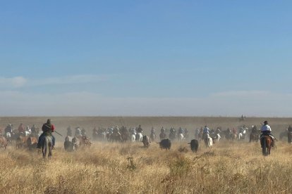 Primer encierro de Medina del Campo. E.M.