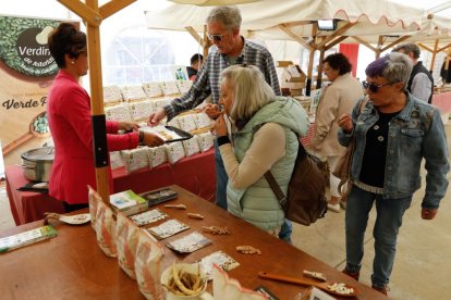 Tercera edición de la Feria del Pan y la Lenteja de Tierra de Campos en el Palacio de Pimentel, ubicado en Mayorga. -J.M. LOSTAU