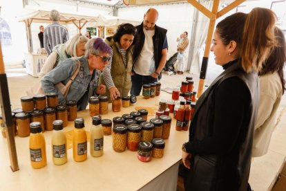 Tercera edición de la Feria del Pan y la Lenteja de Tierra de Campos en el Palacio de Pimentel, ubicado en Mayorga. -J.M. LOSTAU
