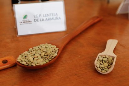 Tercera edición de la Feria del Pan y la Lenteja de Tierra de Campos en el Palacio de Pimentel, ubicado en Mayorga. -J.M. LOSTAU