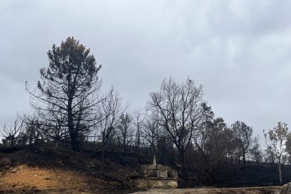 La posible contaminación del agua y su falta de suministro preocupa a los lugareños.- E. M.