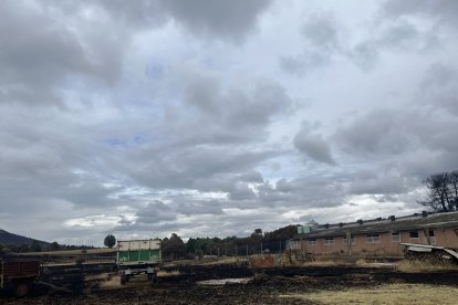 Parte de la nave de Nelly donde ya no pueden pastorear los animales.- E. M.