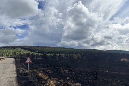 Pocas zonas verdes quedan en el entorno de Ferreras de Abajo, Ferreras de Arriba, Villardeciervos u Otero de Bodas.- E. M.