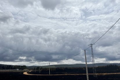 La nave de Nelly, al fondo, en Otero de Bodas, estuvo rodeada por las llamas aunque las cabras se salvaron.- E. M.