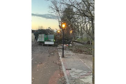 Bomberos de la Diputación retiran árboles caídos en la Urbanización El Pichón de Simancas.- TWITTER BOMBEROS DIPUTACIÓN