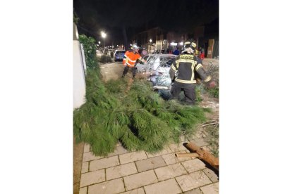 Bomberos de la Diputación retiran un pino caído en la Urbanización Tijuana de Laguna de Duero.- TWITTER BOMBEROS DIPUTACIÓN